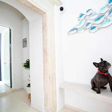 Bed and Breakfast Al Castello Relais Vieste Exterior foto